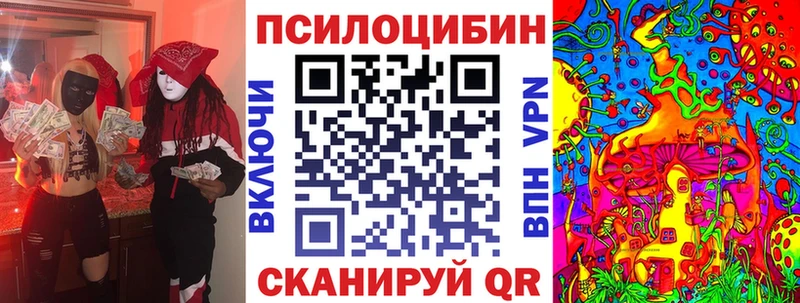 Галлюциногенные грибы Psilocybe  купить наркотик  Ува 